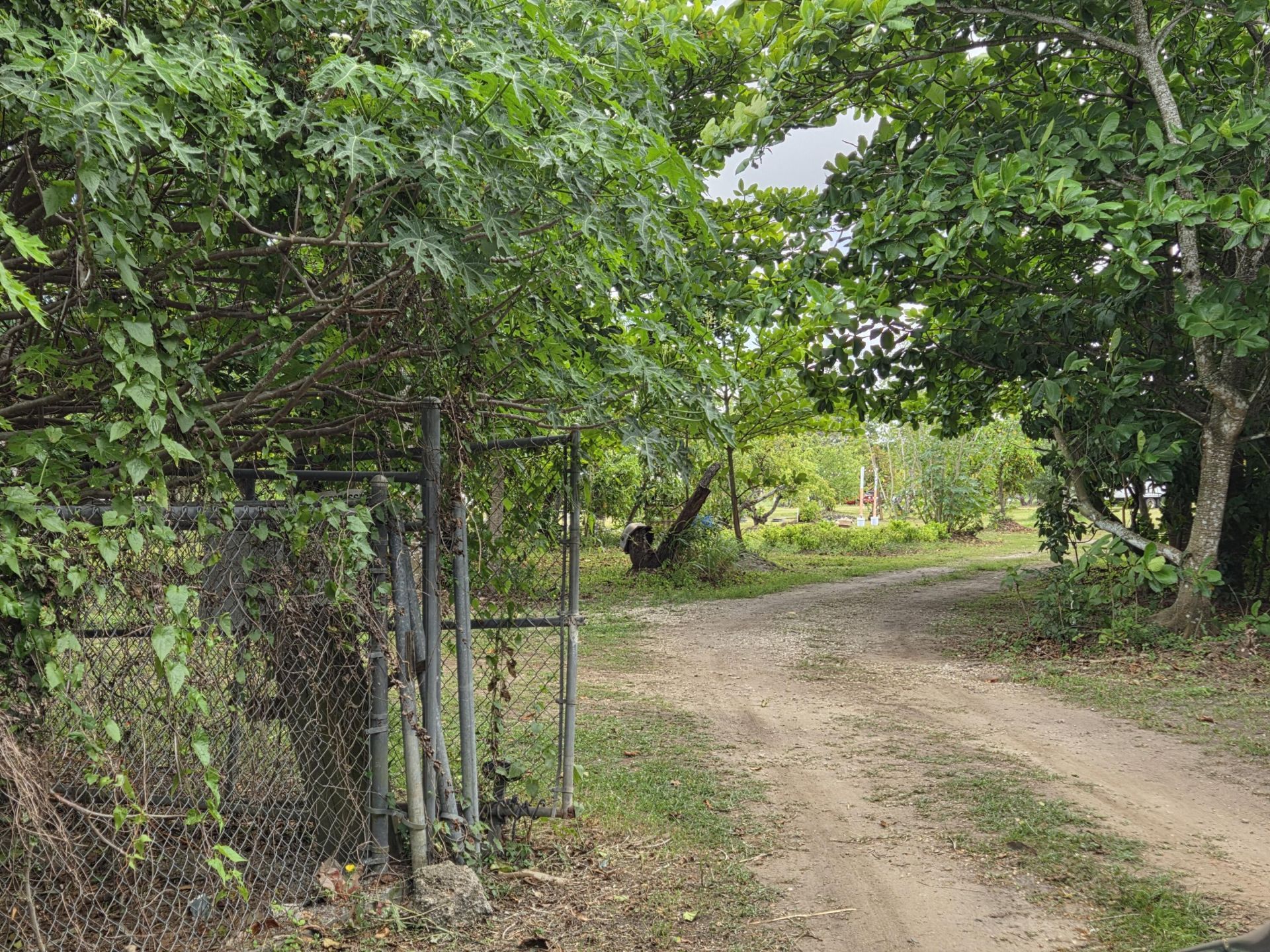 17890 SW 264th Street, Homestead, FL 33031 Photo