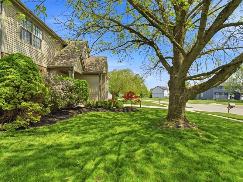 6585 Oak Shadow Drive, Westerville, OH 43082 Photo 4