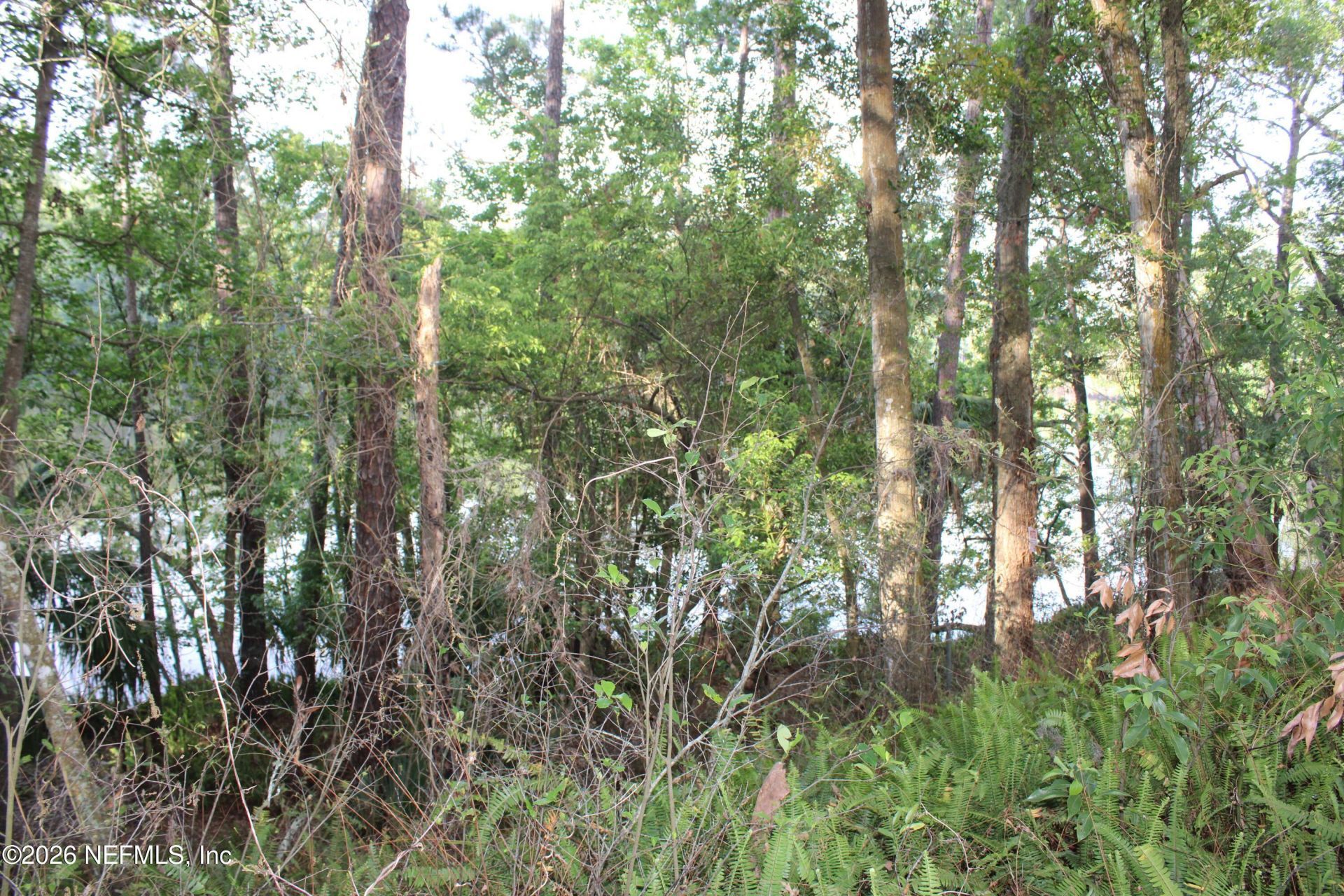 8648 Emerald Isle Circle S, Jacksonville, FL 32216 Photo