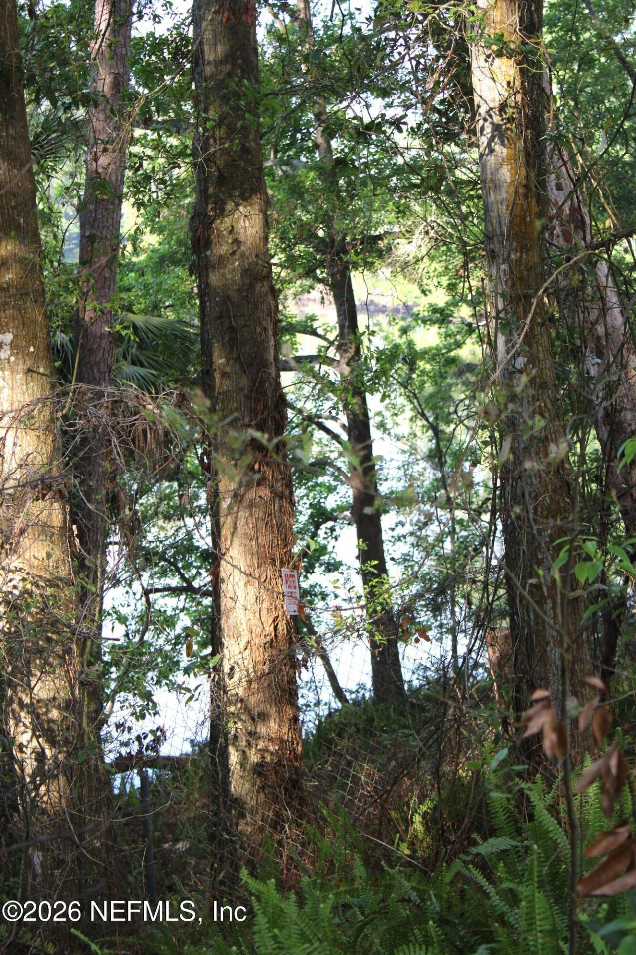 8648 Emerald Isle Circle S, Jacksonville, FL 32216 Photo