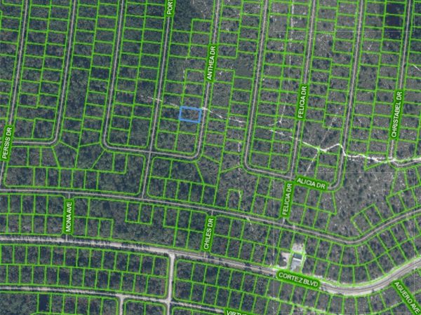 6543 ANTHEA DRIVE , SEBRING, FL 33872