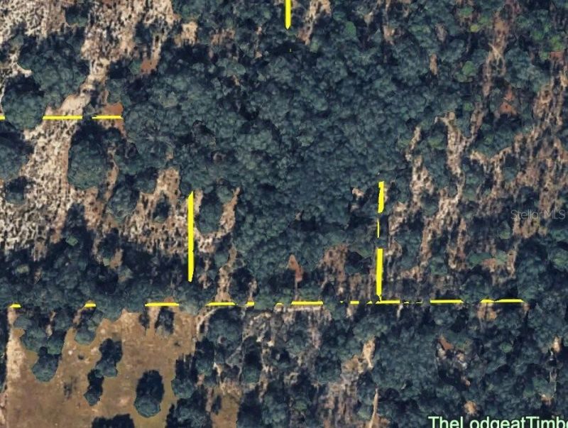 120 NE Sr24 Avenue Ne, Archer, FL 32618 Photo