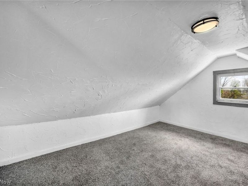 13500 Eaglesmere Avenue, Cleveland, OH 44110 Photo 33