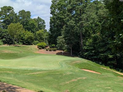 1060 Coogler Crossing Drive , Blythewood, SC 29016