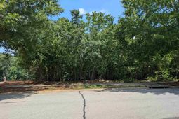 1060 Coogler Crossing Drive  photo 4