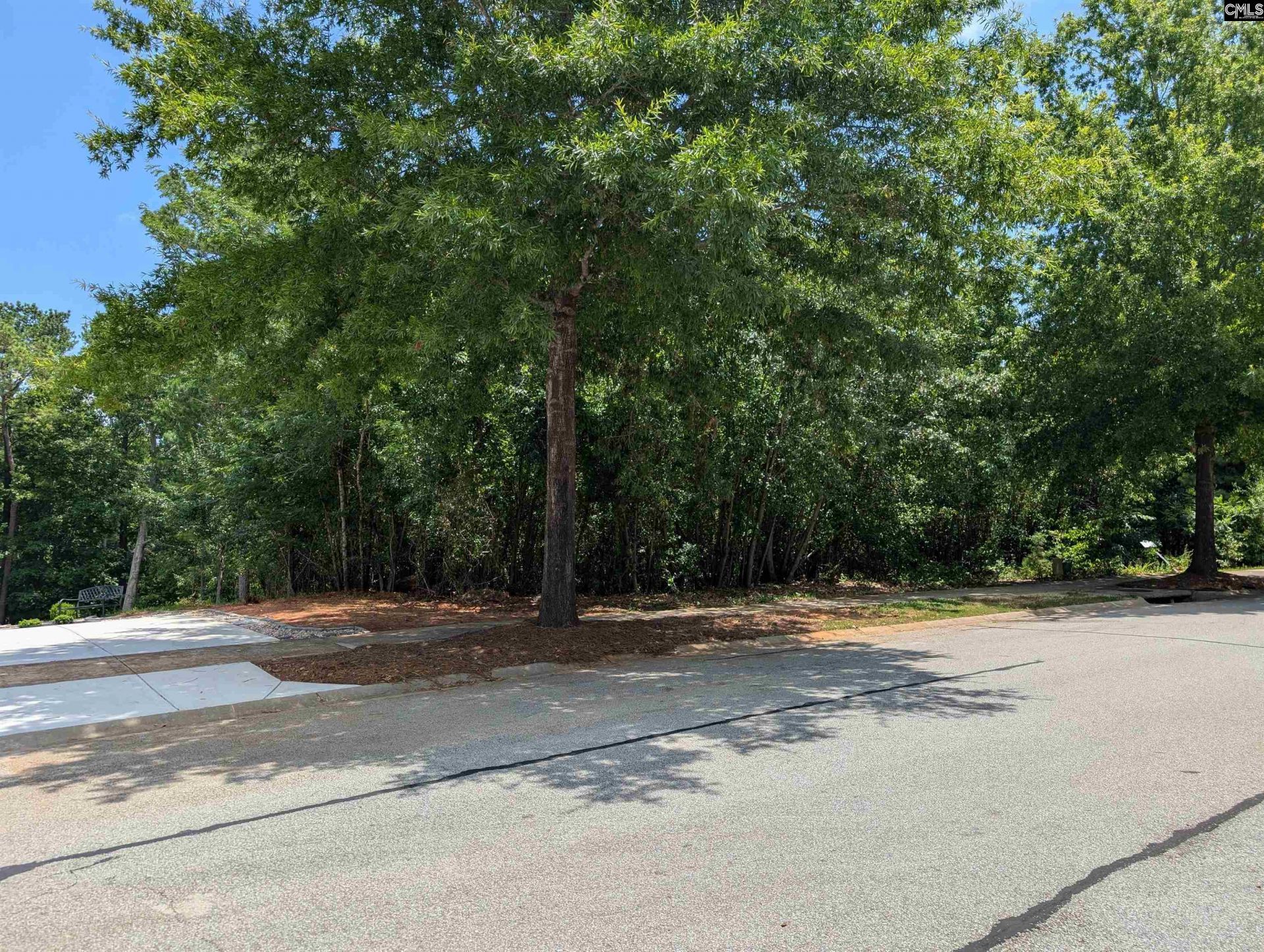 1060 Coogler Crossing Drive  Photo 4