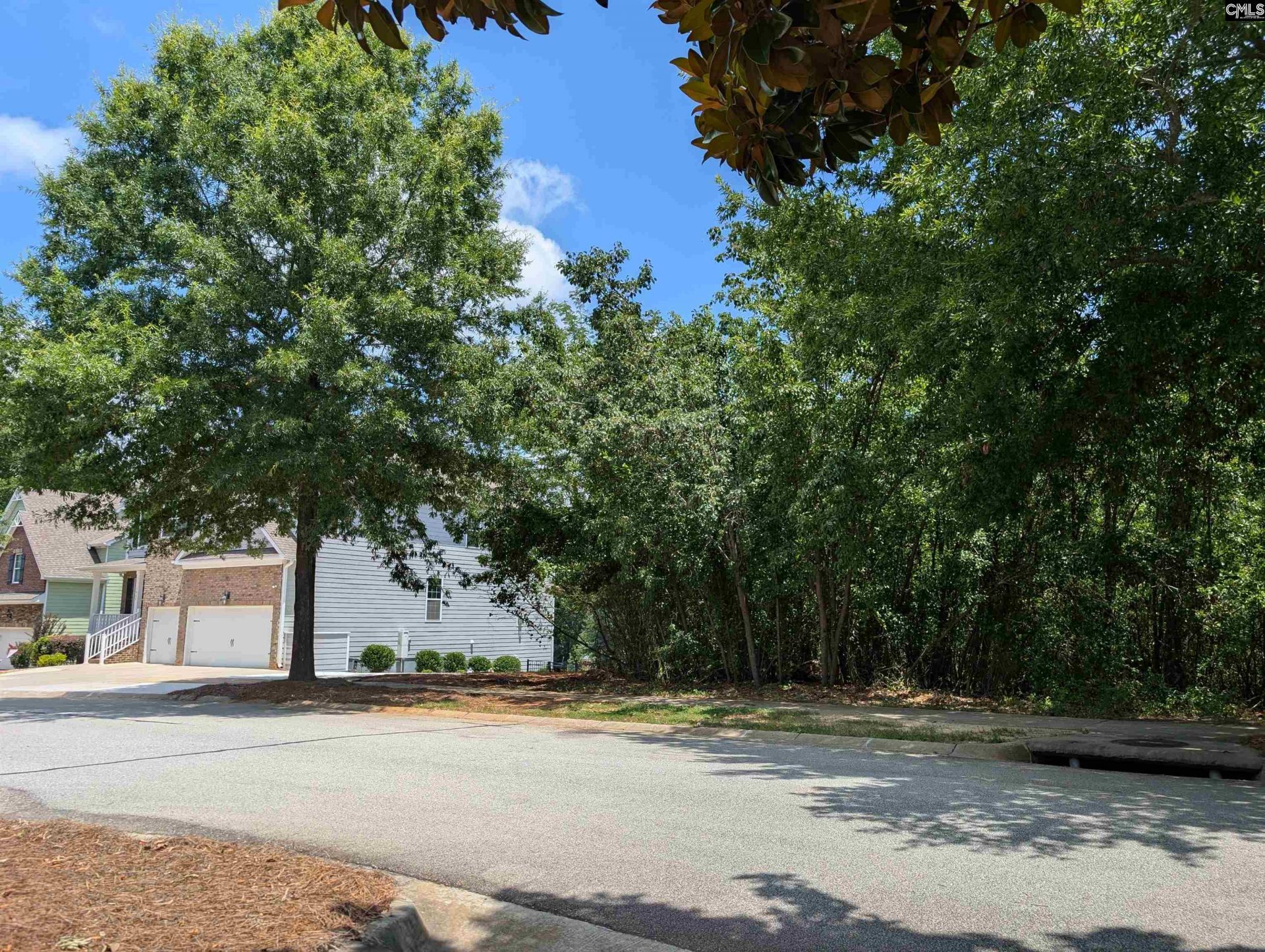 1060 Coogler Crossing Drive  Photo 5