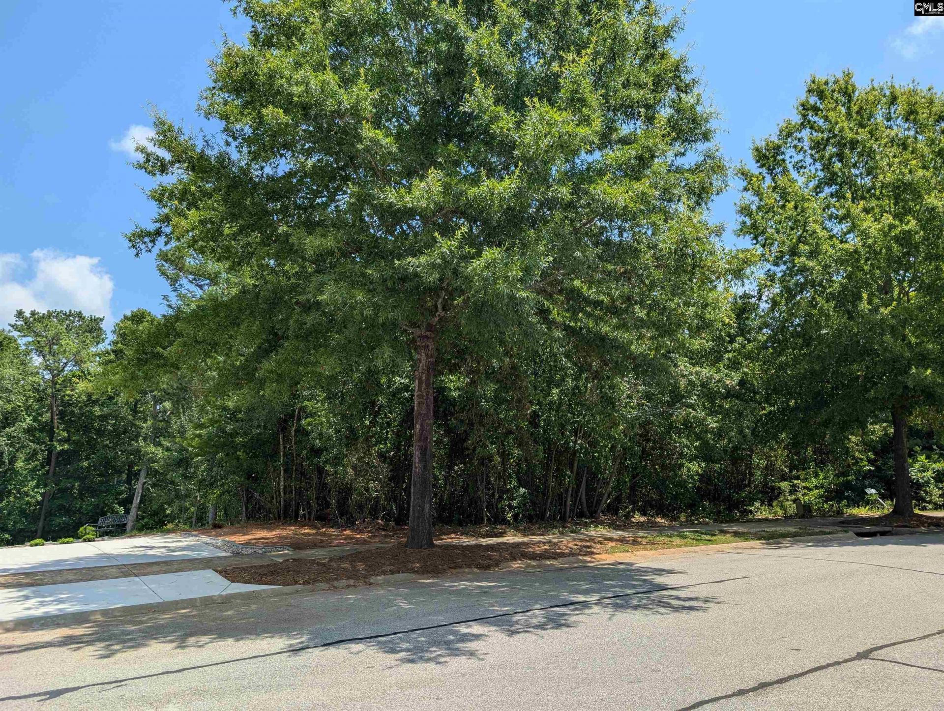 1060 Coogler Crossing Drive  Photo 6