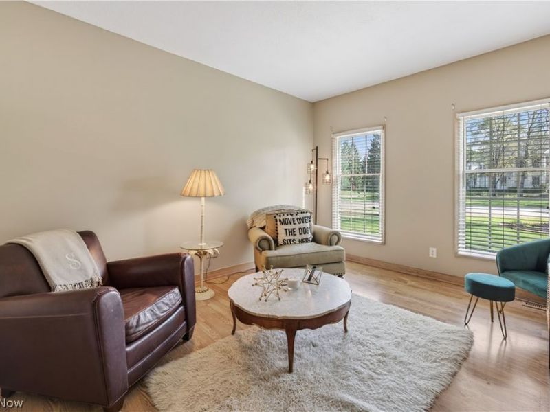 7663 Herrick Park Drive, Hudson, OH 44236 Photo 16