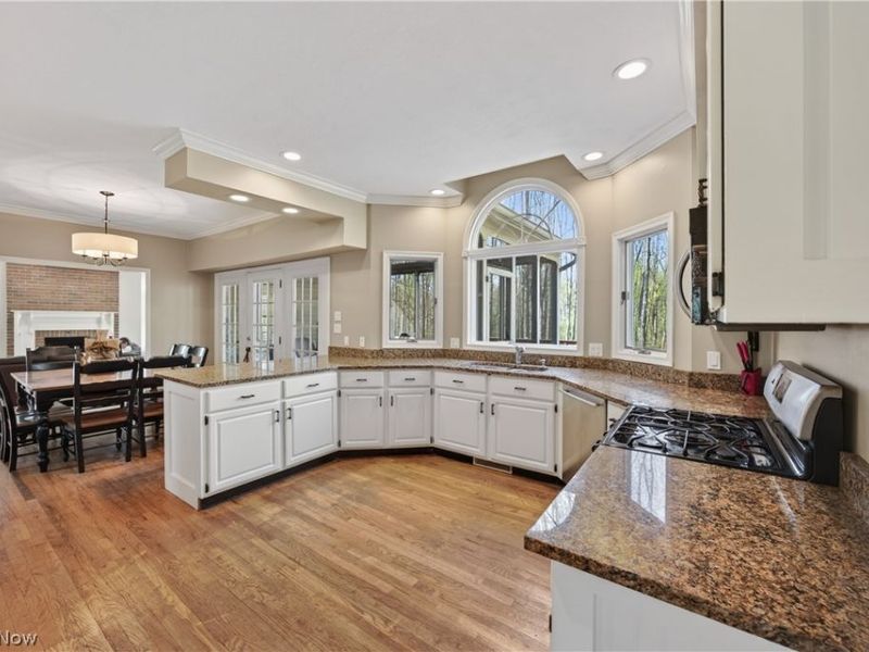 7663 Herrick Park Drive, Hudson, OH 44236 Photo 5