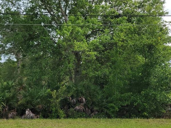 RALSTON STREET , ORLANDO, FL 32833