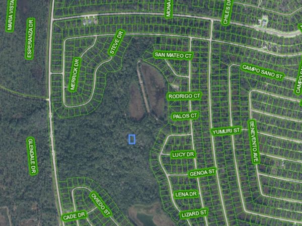 8564 OVIEDO STREET , SEBRING, FL 33872