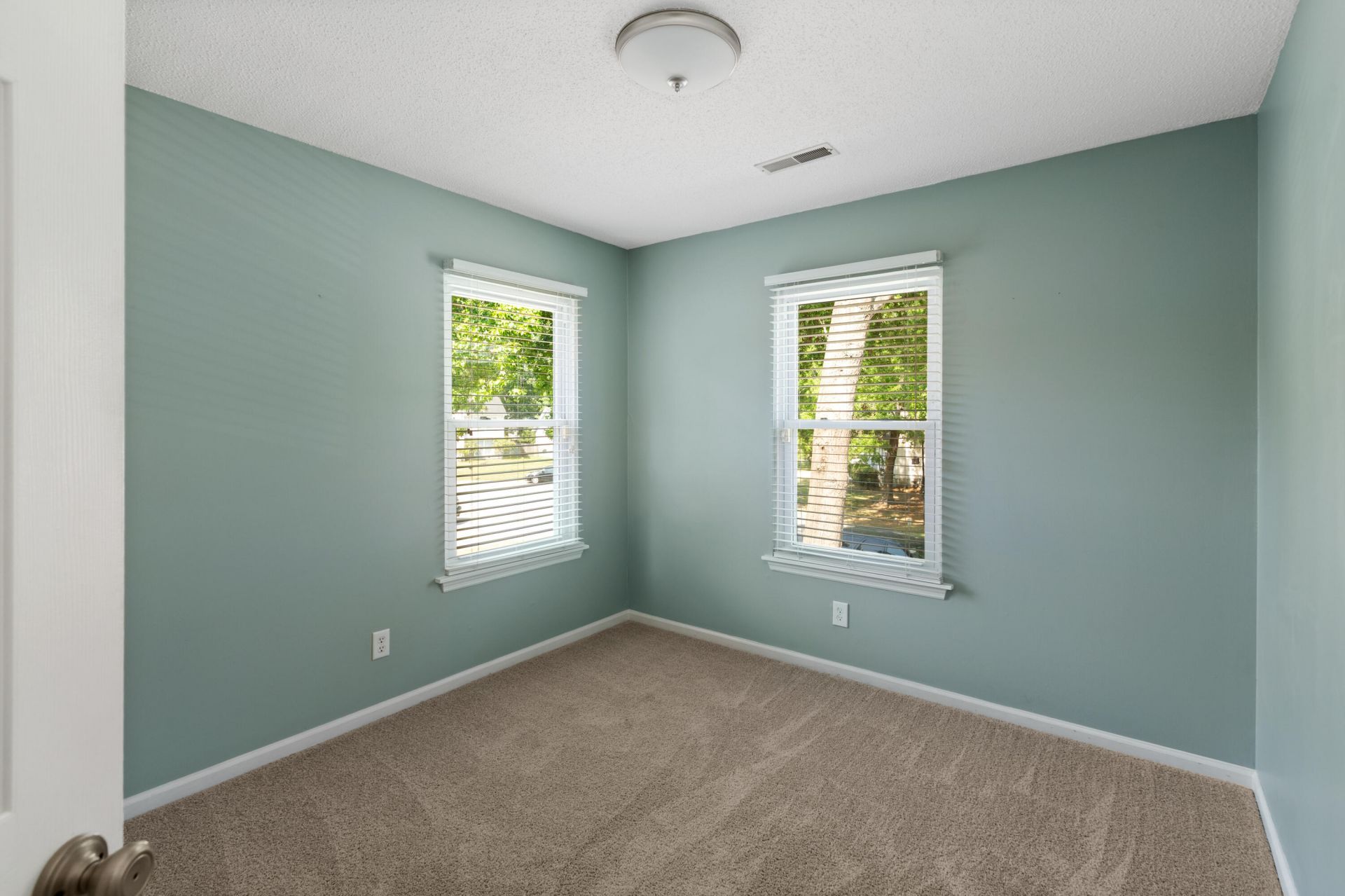 3017 Harris Mill Drive Photo 22