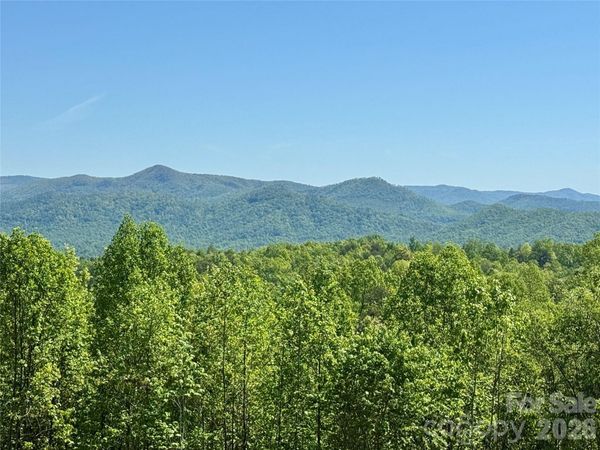 0 Doe Hallow Trail , Nebo, NC 28761