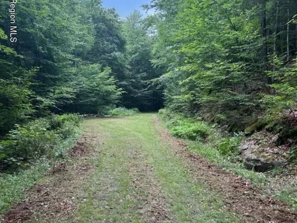 Tbd Railroad Road, Lanesville, NY 12450