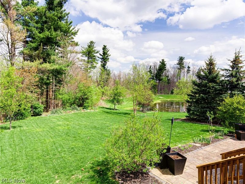 3127 Liberty Ledges Drive, Twinsburg, OH 44087 Photo 39