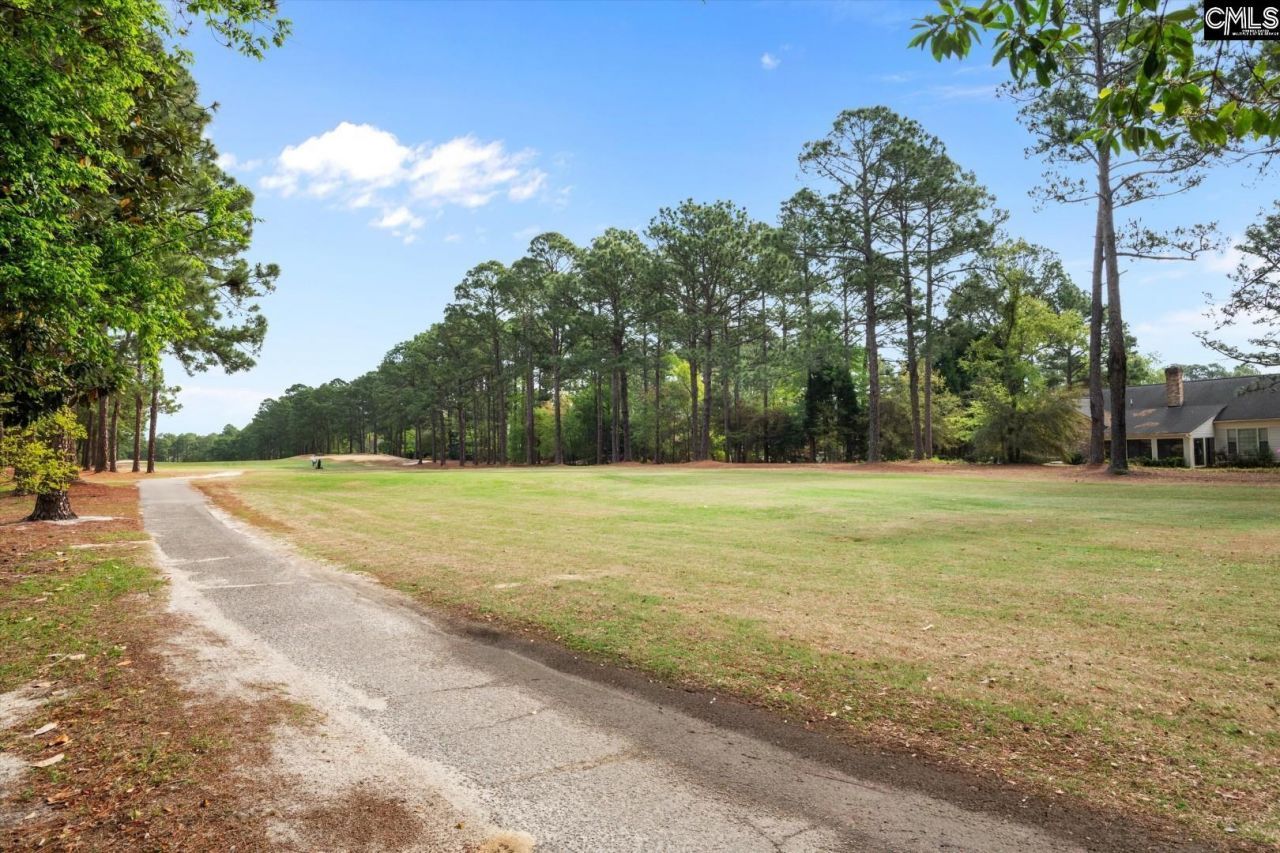 321 Wood Duck Road Photo 37