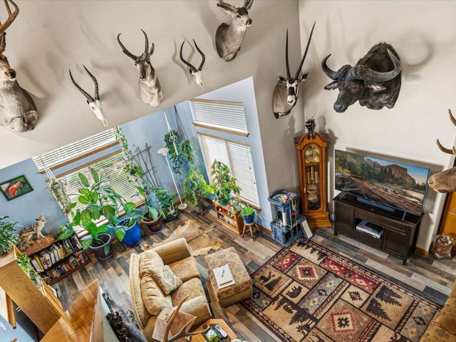 Property Image 54