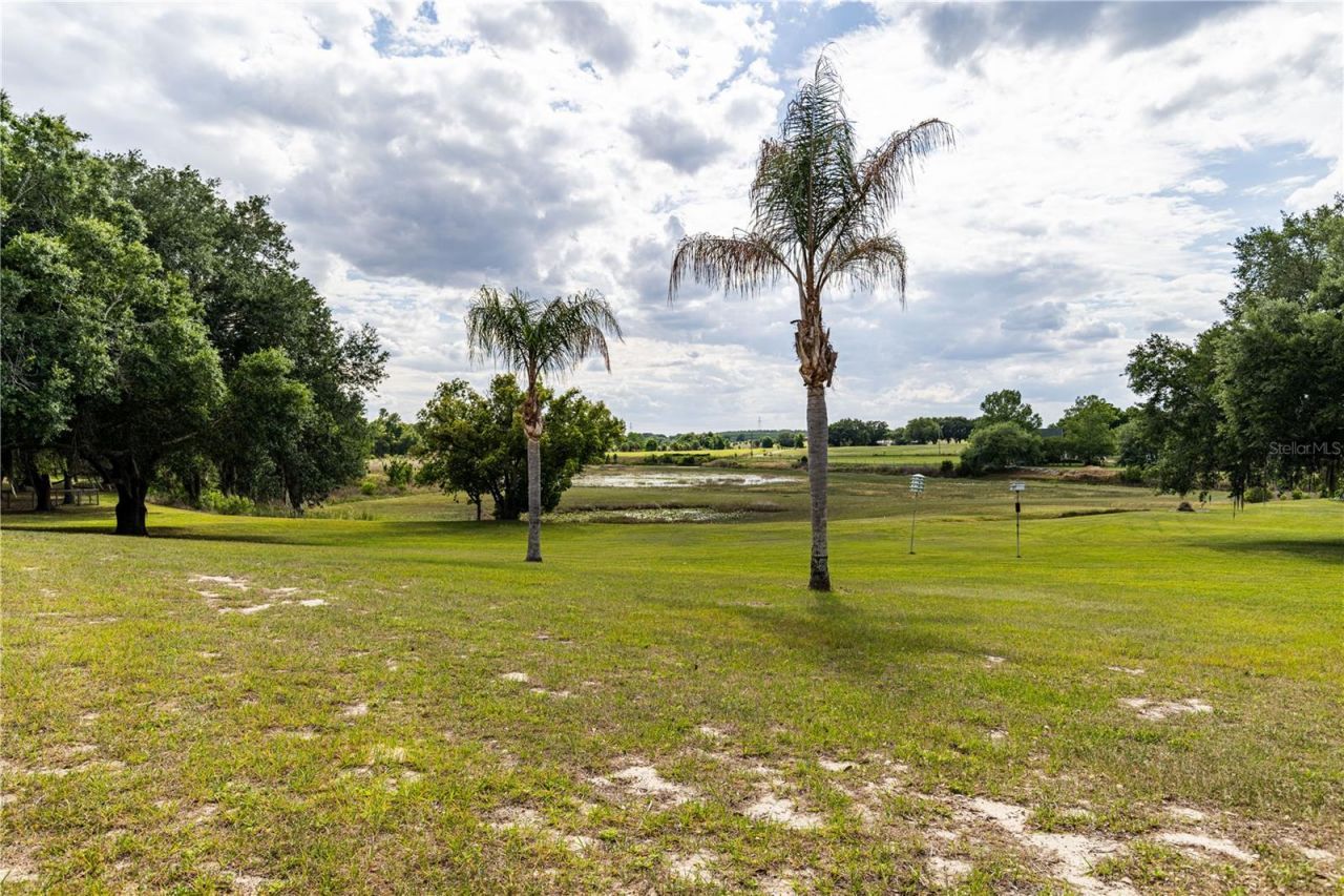 25101 Turkey Lake Road, Howey in the Hills, FL 34737 Photo