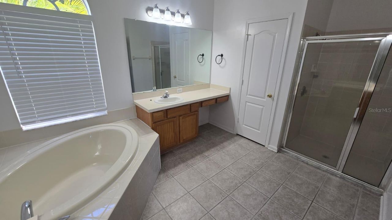 25837 Risen Star Drive, Wesley Chapel, FL 33544 Photo