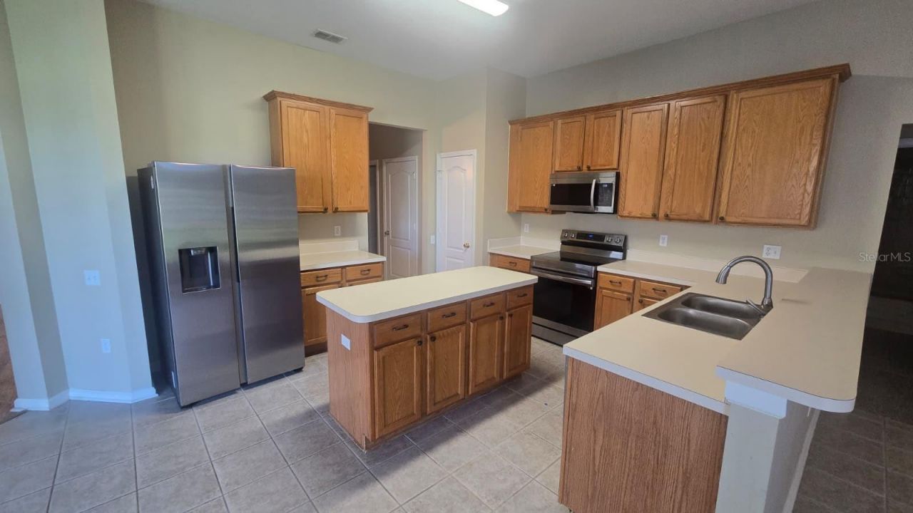 25837 Risen Star Drive, Wesley Chapel, FL 33544 Photo