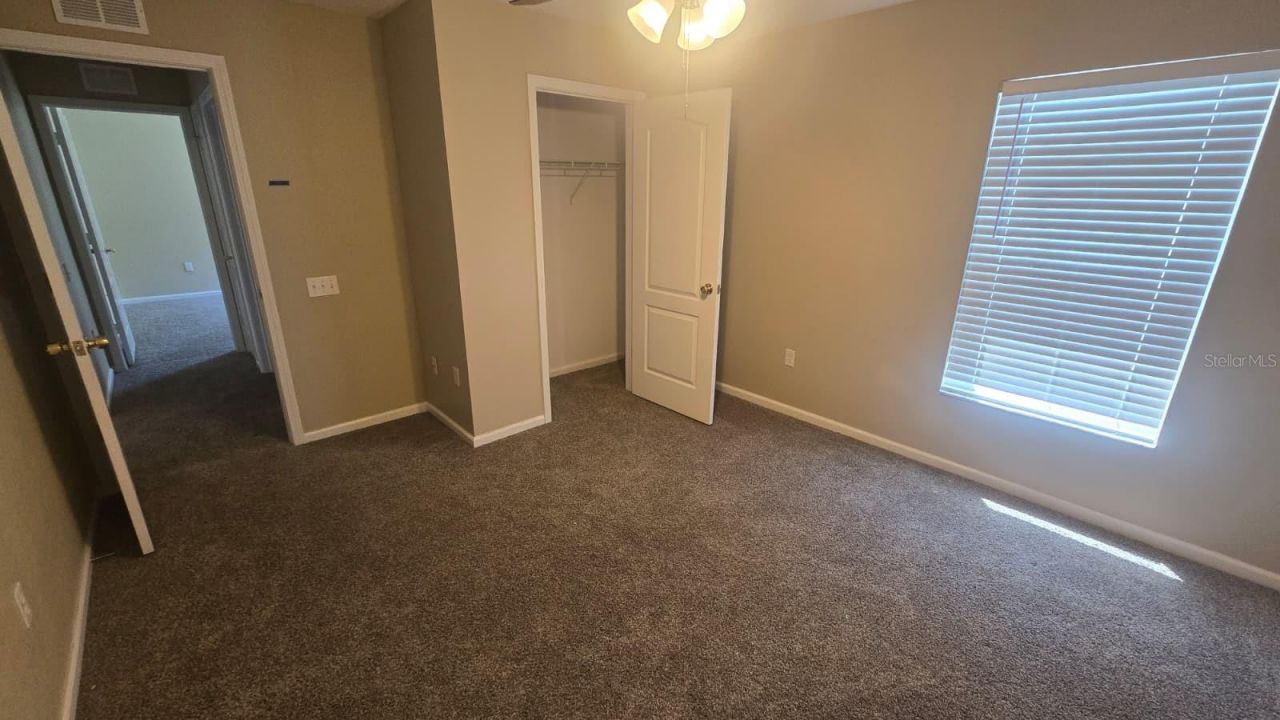 25837 Risen Star Drive, Wesley Chapel, FL 33544 Photo