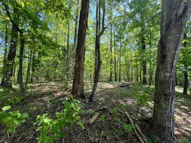 0 Discovery Trail, Big Island, VA 24526