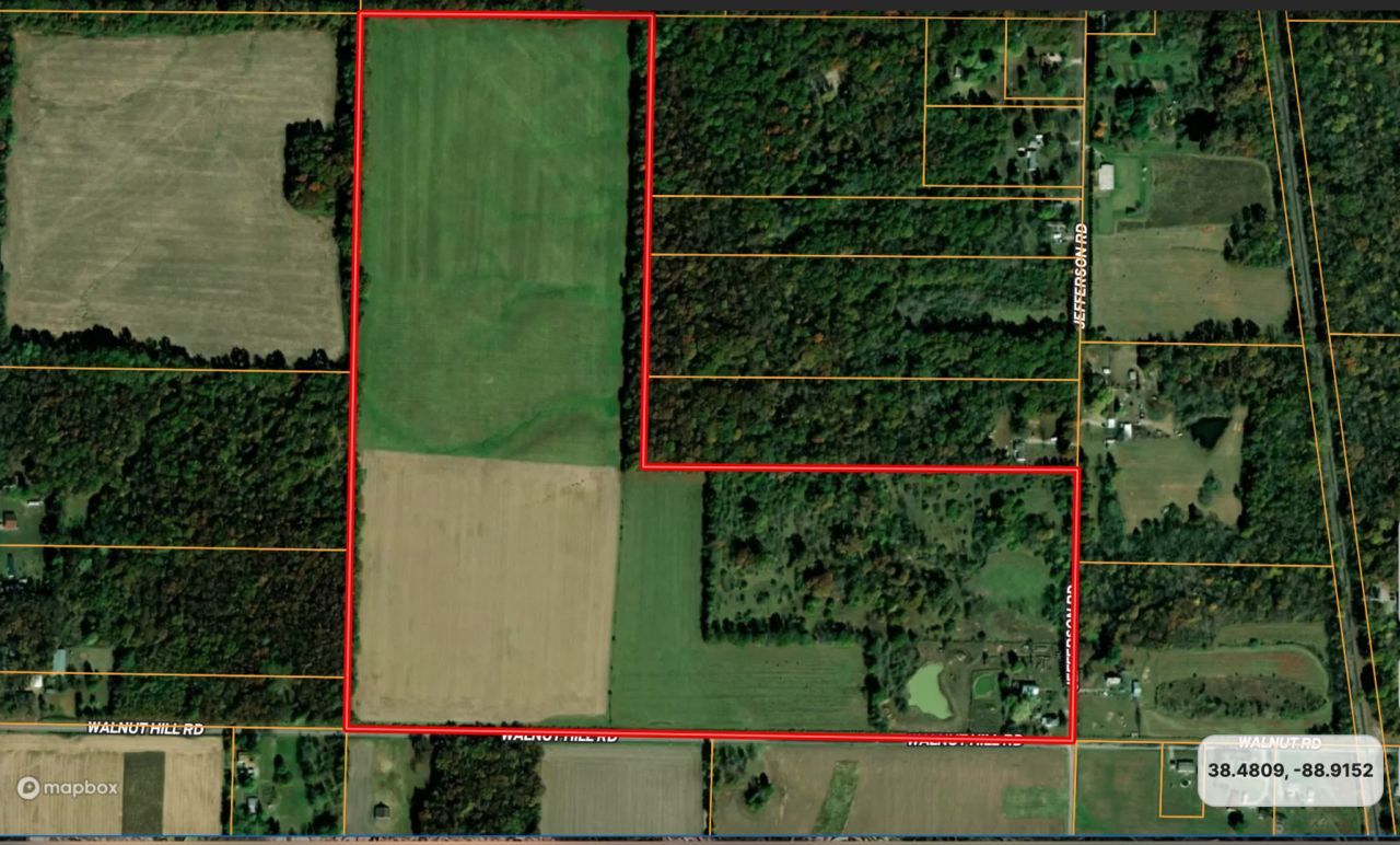 1132 S Jefferson Street, Kell, IL 62853 Main Photo