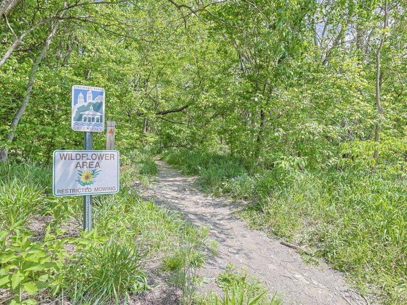 1919 Washburn Street, Cincinnati, OH 45223 Photo 43