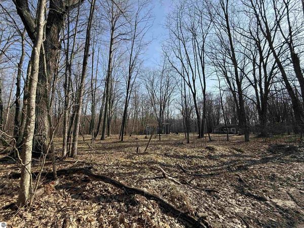 11221 Behlke Road SE, Fife Lake, MI 49633