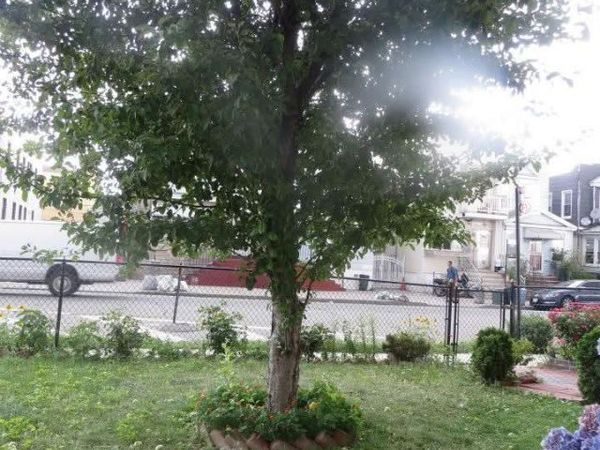 132-06 Metropolitan Avenue , Richmond Hill, NY 11418