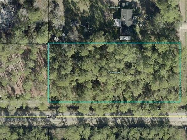 10065 Dillon , HASTINGS, FL 32145