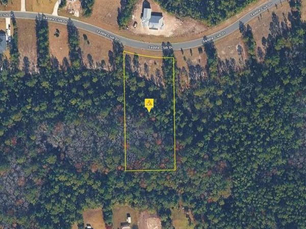 11325 SADDLE CLUB DRIVE , JACKSONVILLE, FL 32219