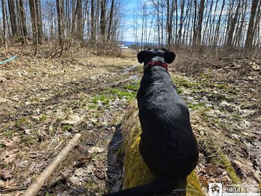 00 West Cobb Road , Falconer, NY 14733