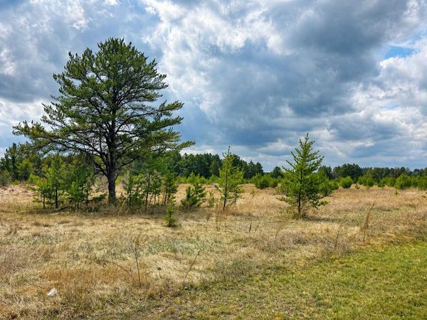 TBD 8th Street W, Park Rapids, MN 56470