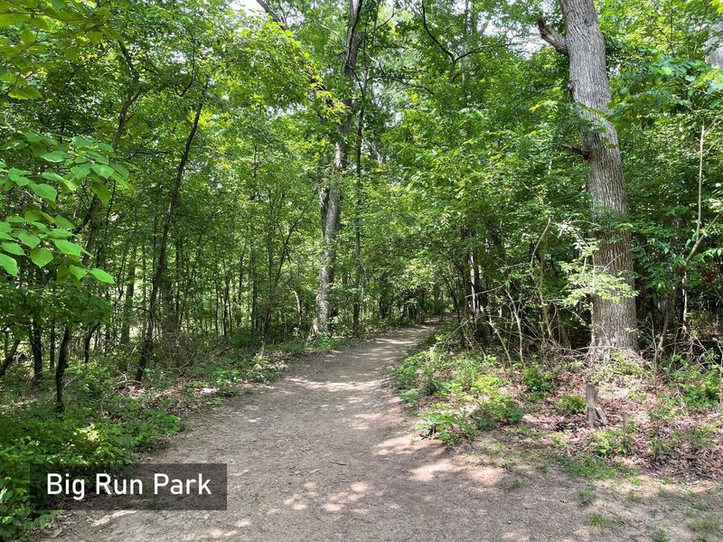 1000 Bright Star Court, Columbus, OH 43228 Photo 39