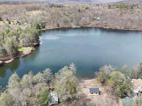 675 Delaware Lake Road, Hancock, NY 13783
