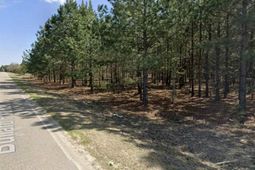 Bullard Ford Rd photo 4