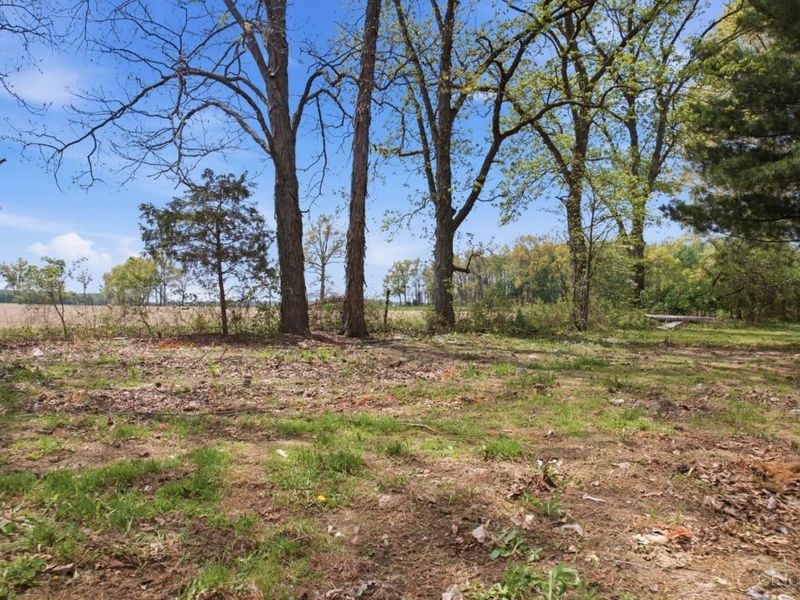 11479 Brownstown Arnheim Road, Franklin Twp, OH 45121 Photo 12