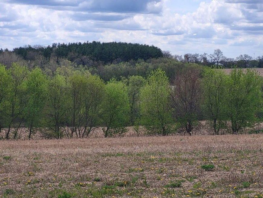 Main Photo