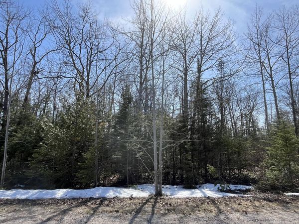 Lot 34 Pine Street, Presque Isle, MI 49777
