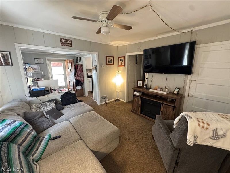 423 7th Street, Fairport Harbor, OH 44077 Photo 23