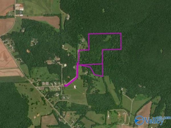 45Â± Acres Marvaline Drive, New Market, AL 35761