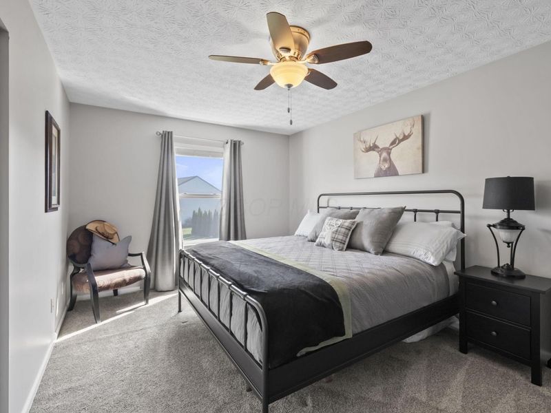 207 Heathermere Loop, Galena, OH 43021 Photo 39