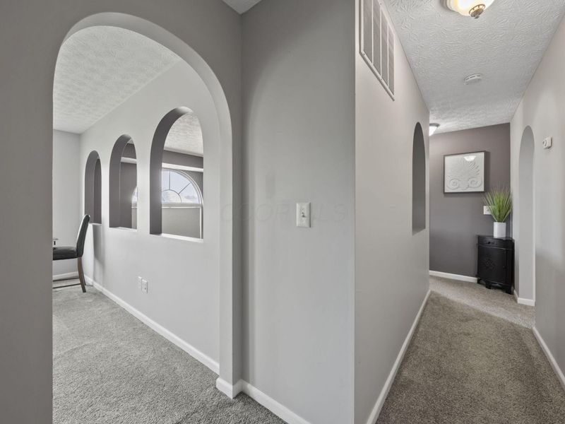 207 Heathermere Loop, Galena, OH 43021 Photo 41