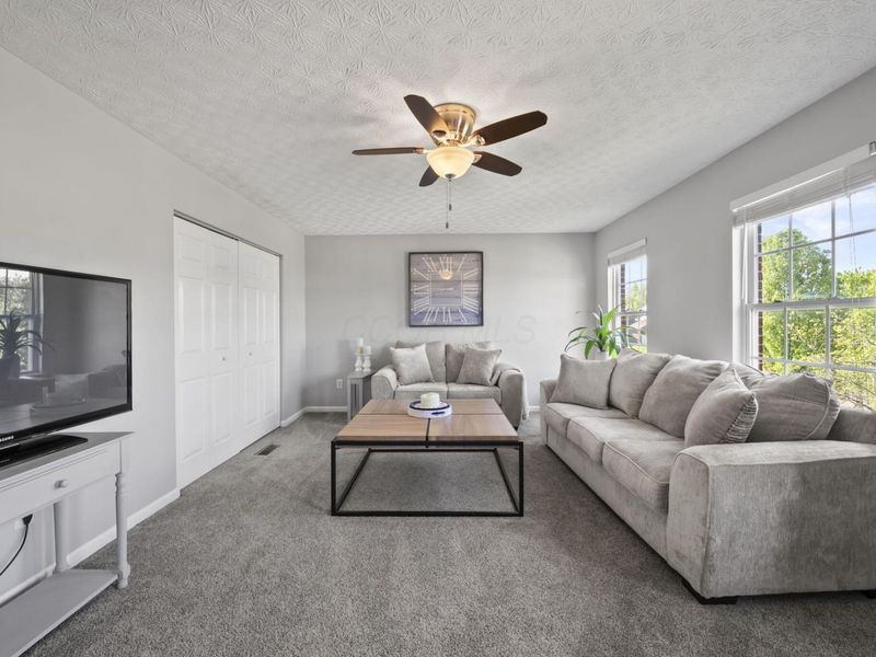 207 Heathermere Loop, Galena, OH 43021 Photo 42