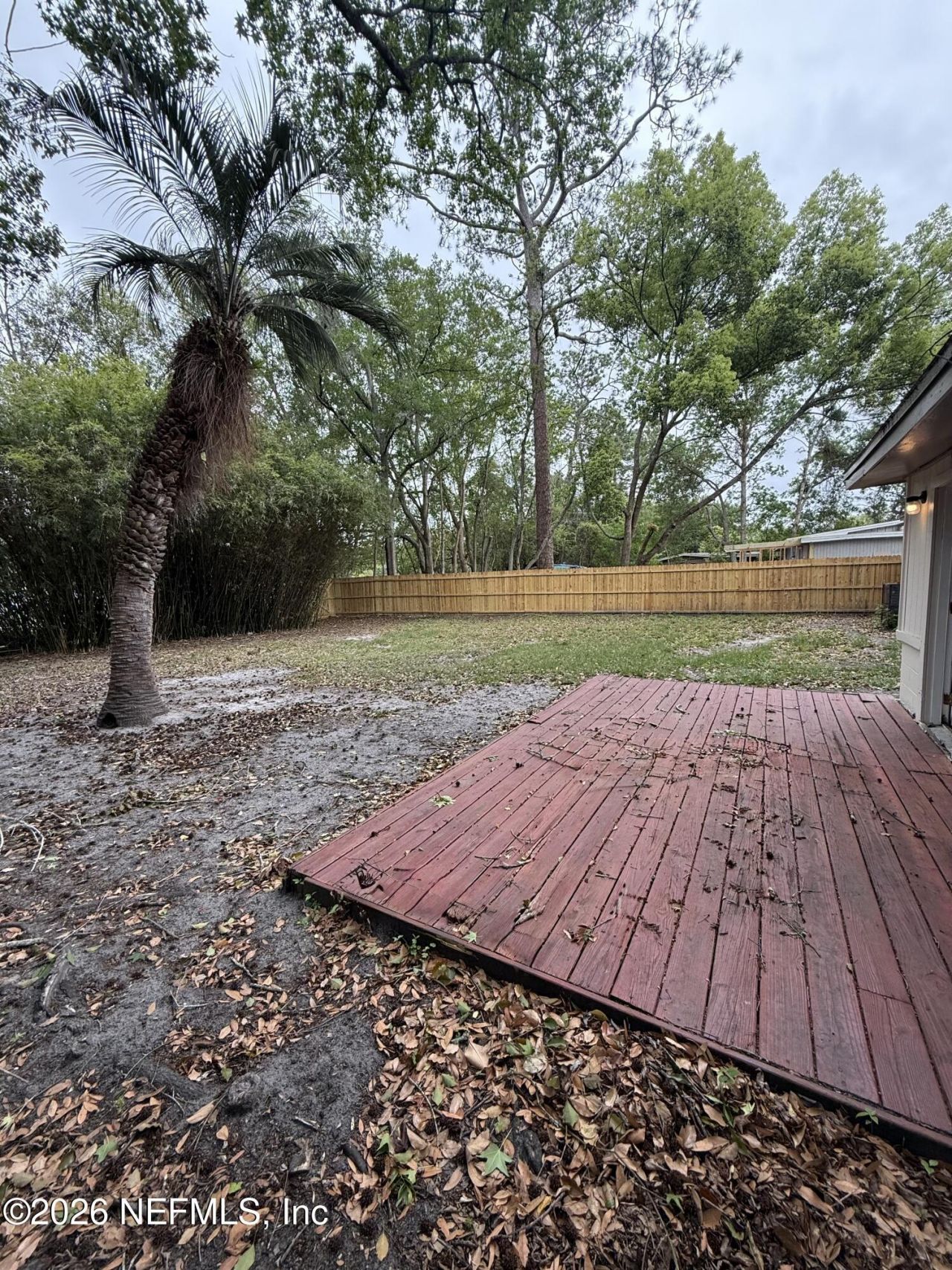 909 La Marche Drive, Jacksonville, FL 32205 Photo