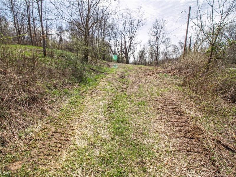 11 ac Whiskey Run Road, Quaker City, OH 43773 Photo 10