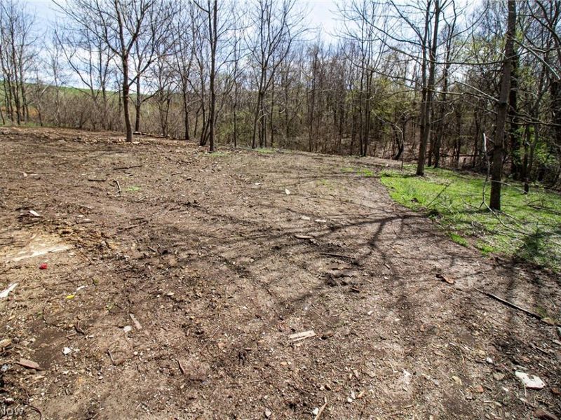 11 ac Whiskey Run Road, Quaker City, OH 43773 Photo 12