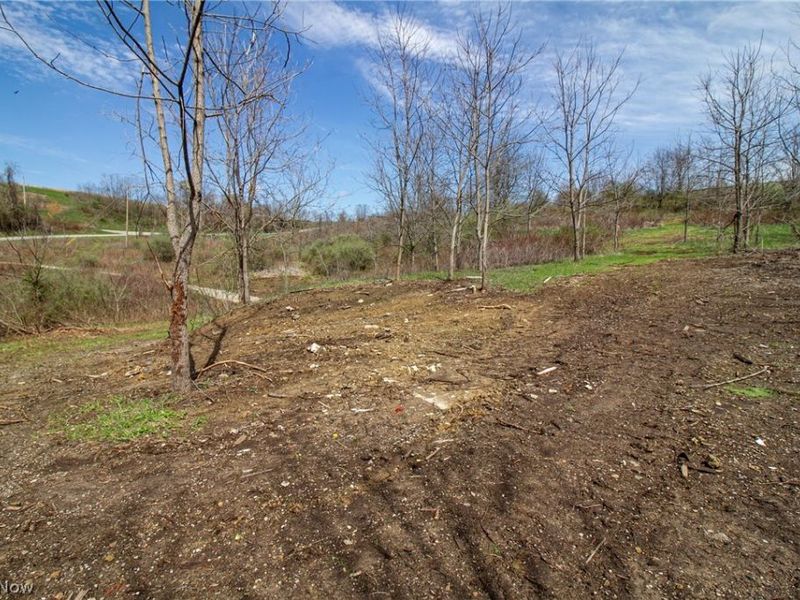11 ac Whiskey Run Road, Quaker City, OH 43773 Photo 14